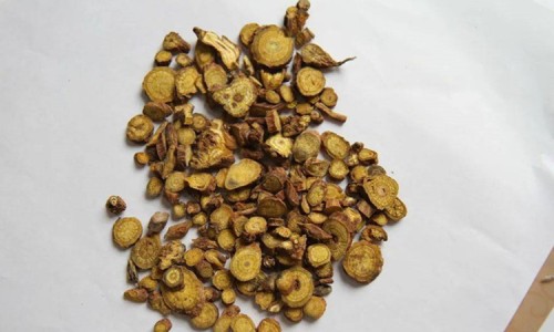 节节草功效与作用与主治-节节草功效与作用-专业节节草功效与作用平台-节节草主治什么病
