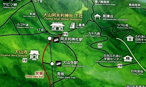 节节草功效与作用有哪些-节节草功效与作用-专业节节草功效与作用平台-节节草主治什么病
