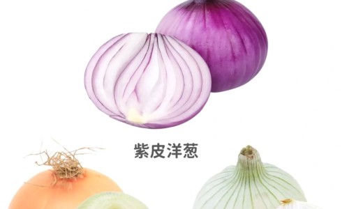 节节草功效与作用-专业节节草功效与作用平台-节节草主治什么病